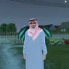 Ramis_Shyk
