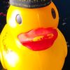 pollito15607