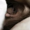 lwnf7