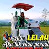 safrudin64237