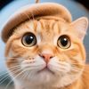 SuperCatmeme