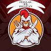 POLLOS EL BRAYAN🐥🍗