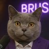 brusik.ai