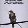 karnain.kanvev