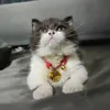 kenmuoiot