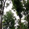 www.tiktok.comr652