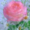 abc1234512345991188