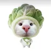 mdsocute._