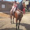 user74912743486215