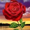 markhor.javeed