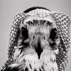 nasser511j1