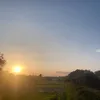 maireadmcveigh1