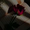 farhannawaz7861