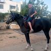 user9816214445042
