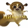 nikitos.shikarnyi