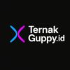 ternakguppy.id