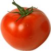 therealtomato45