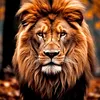 hussein.fakhir6