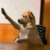 oatz.channel.game