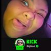 BigNaoClips