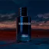 vnt.perfumes