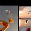 fmanojatti0