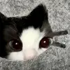 kkikaelkiaaa