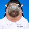 sofeesailakvl