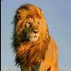 khalilrehman624