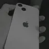 rajbutt31