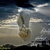 mehdy1264