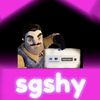 sghsy06