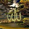 mohammad.jan067