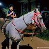 ayad66717