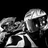 shama_95261