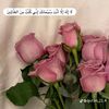 user2939829625315