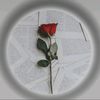 user1123812425780