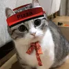 pizzacat928472