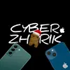 cyberzharik