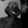 qboxing
