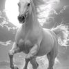nhiad.ibrahim