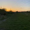 caitlin_thomson