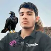 sjide389