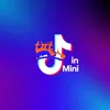 «ТНТ» В мини