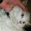 bakhavar.rathore