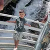 user53053040679773