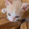 michudorito