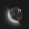 hendou_salk