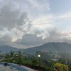 tiwiamaliap