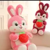 petho8386